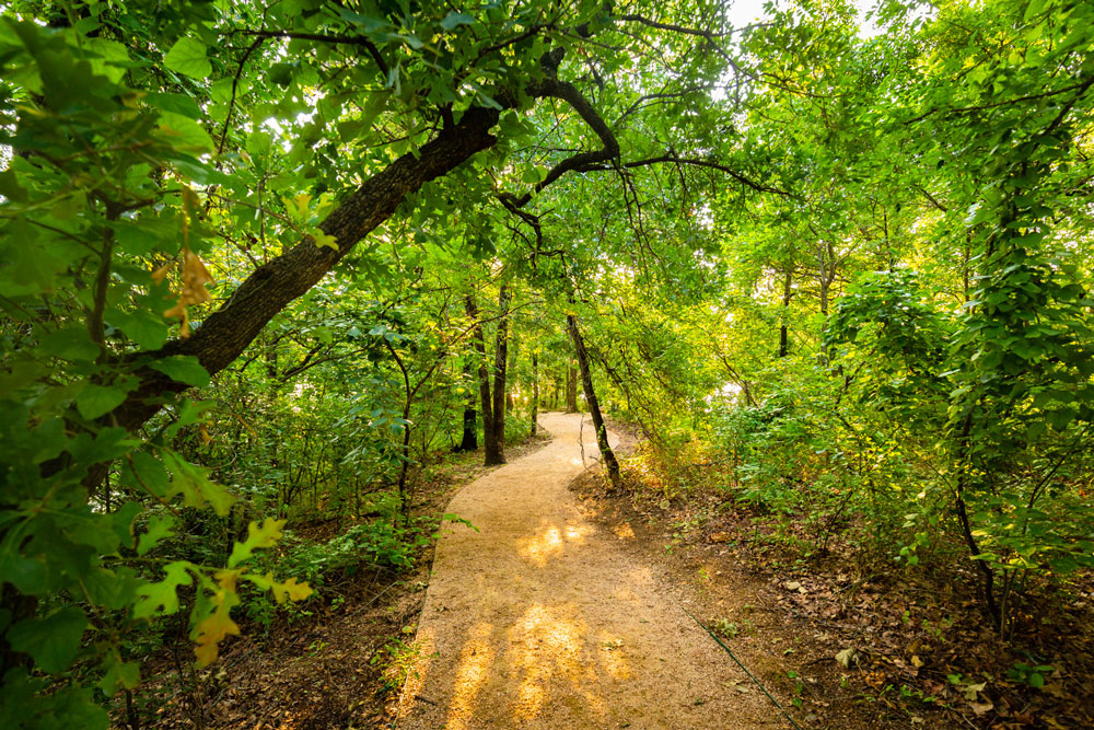 Our trails running along Lake Lewisville are too beautiful to pass up.