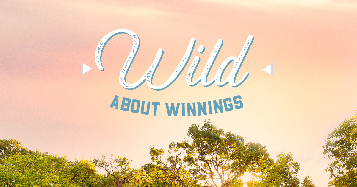 Wild About Winnings